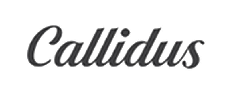 Callidus-Partner